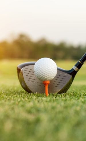 Golf club and ball in grass with sunlight. Close up at golf club and golf ball.